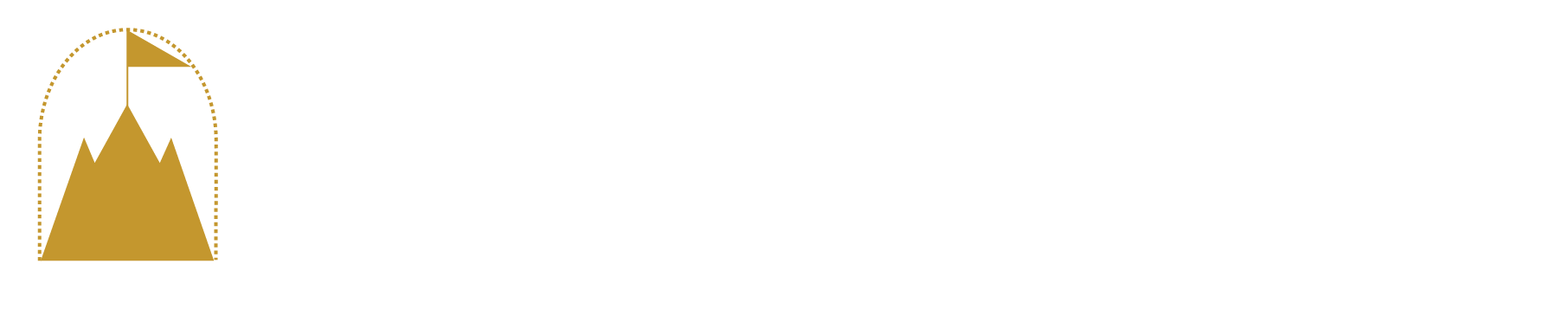 高峰藥品材料股份有限公司 TOP Pharma & Medicalware